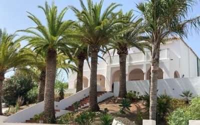 Luottamustesti nro 378